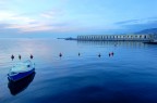 Boe nel blu Boe nel blu