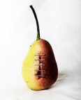 Wounded Pear Wounded Pear