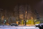 ieri sera... neve ieri sera... neve