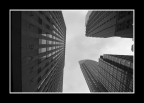 Toronto. Toronto.