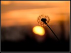Tra luce e contrasto.. Tra luce e contrasto..