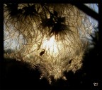 Behind the curtain there's a new day... Behind the curtain there's a new day...