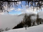 Silenzio Silenzio