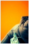 Orange Wall Orange Wall