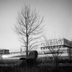 la sedia della puttana