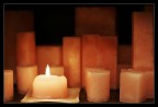 Scent of Light Scent of Light