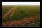 La nebbia all'orizzonte... La nebbia all'orizzonte...