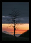 a new day has born a new day has born