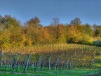 Autunno sul Collio Goriziano