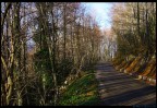 La strada del ritorno La strada del ritorno