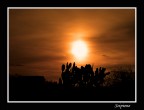 Rosso di sera Rosso di sera