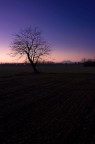 Un altro stupido tramonto Un altro stupido tramonto