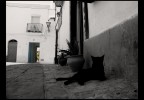 Angolo di Tarifa Angolo di Tarifa
