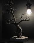 natura... morta natura... morta