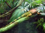 acquario ge acquario ge
