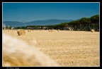 Nostalgia dell'estate Nostalgia dell'estate