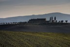 Collina senese 1 Collina senese 1