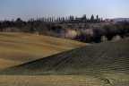 Colina senese 2 Colina senese 2