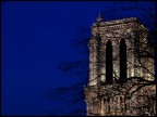 notre dame