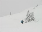 Tra la neve
