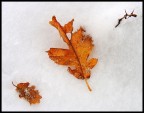 ...l'inverno... ...l'inverno...