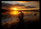 Tramonto ...reale Tramonto ...reale