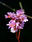 Fuji finepix s5600
ISO 64
1/240 sec
F/3,2
mano libera