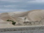 DUNAS DUNAS