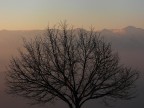 L'alba L'alba