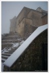 Neve Neve