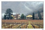 I colori della Tenuta I colori della Tenuta