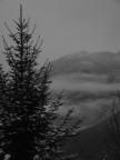 Neve Neve