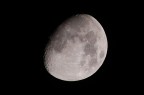 Luna fotografata poco fa Luna fotografata poco fa