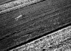 Fuga in diagonale Fuga in diagonale