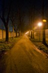 Viale di notte Viale di notte
