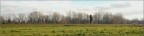 Paesaggio Toscano Paesaggio Toscano