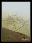 ....e dietro solo nebbia. ....e dietro solo nebbia.
