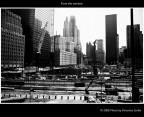 From the window From the window