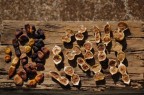 radici culinarie radici culinarie