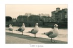Tutte in posa... Tutte in posa...