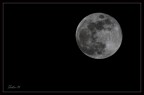 The moon The moon