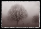 nebbia in valpadana nebbia in valpadana