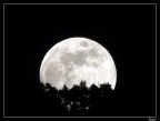 Spunta la luna dal monte... Spunta la luna dal monte...