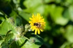 E' già primavera? E' già primavera?