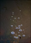 bubbles trapped on ice bubbles trapped on ice