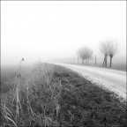 f/5.6, 1/90s, 14mm, ISO100
Nebbia nella campagna ferrarese
Suggerimenti e critiche sempre ben accetti