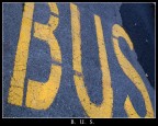 B U S B U S