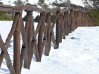 nevicata nevicata