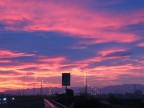 Ci pensa la natura Ci pensa la natura