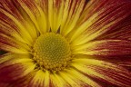 Un pezzo di sole Un pezzo di sole